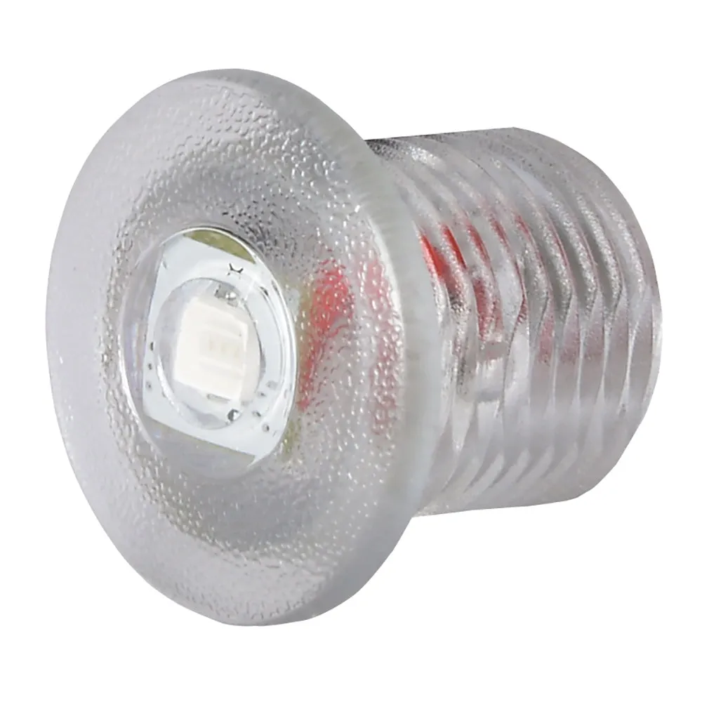 Lumitec Newt Courtesy/Accent White LED Light Clear Finish 12v