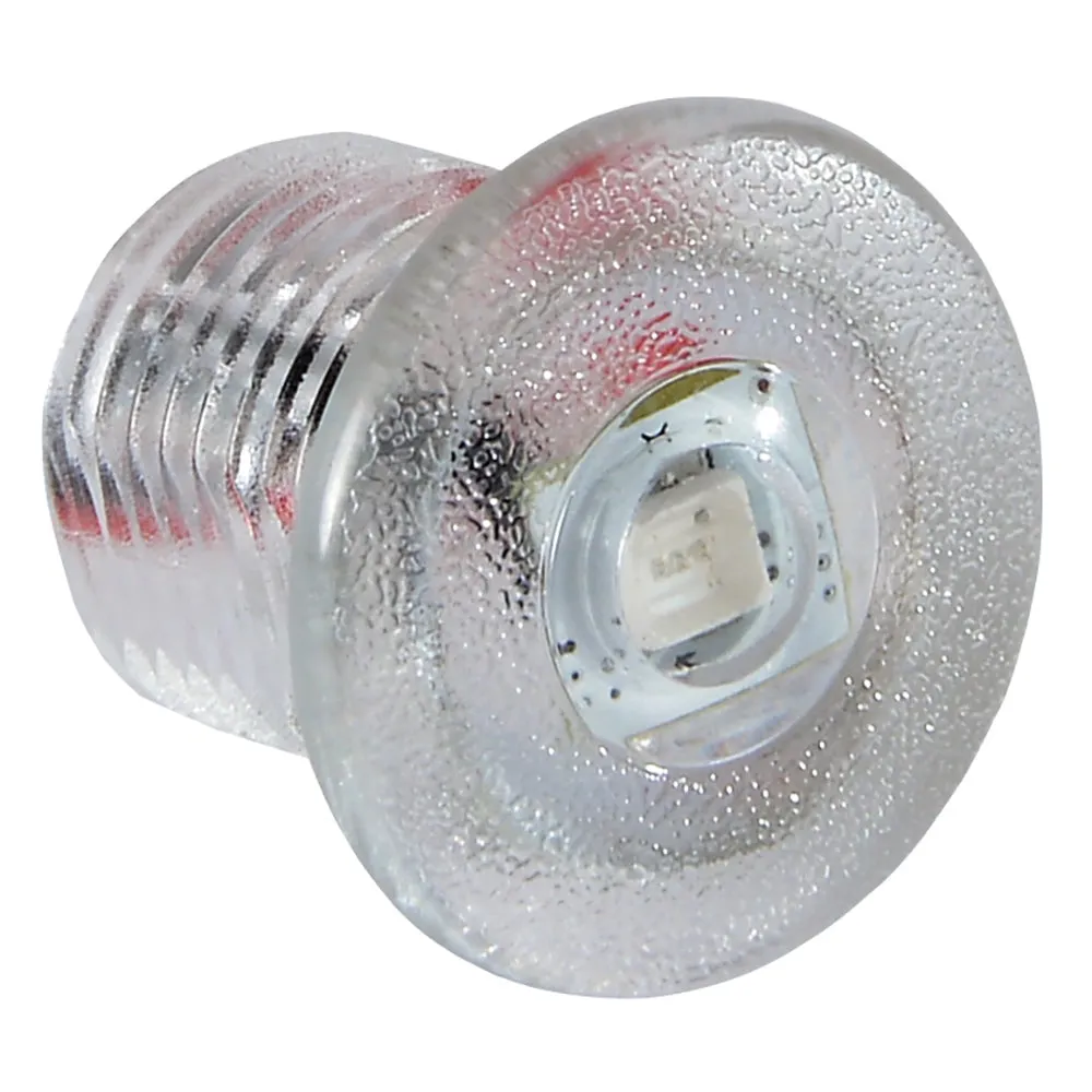 Lumitec Newt Courtesy/Accent White LED Light Clear Finish 12v